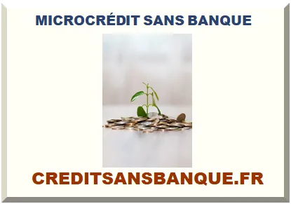 MICROCRÉDIT SANS BANQUE